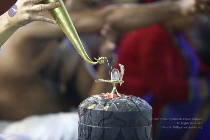 20161212 Photo 2366 1VjzrgHCA27OxgMvxOhS06gQd72ysKC-8.JPG