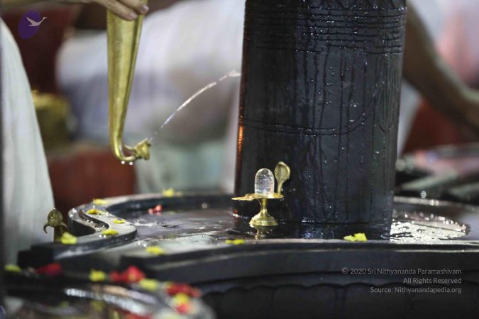 20161212 Photo 2387 1bCWCJAad1yCE43pA3MmGohDSyD055Kqd.JPG