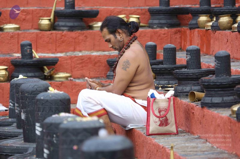 File:20161214 Photo 1006 1vkvkSEO0jDUlPL3YGyhsRFGnCAnkTYoC.JPG