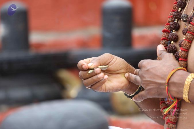 20161214 Photo 1012 1e Q9duKATwCXhC3Oqyd4HnkDaJJKbatA.JPG