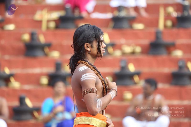 File:20161214 Photo 1033 1eCJXqR92pz c7 MkpSMnjh-VsqALcbgy.JPG