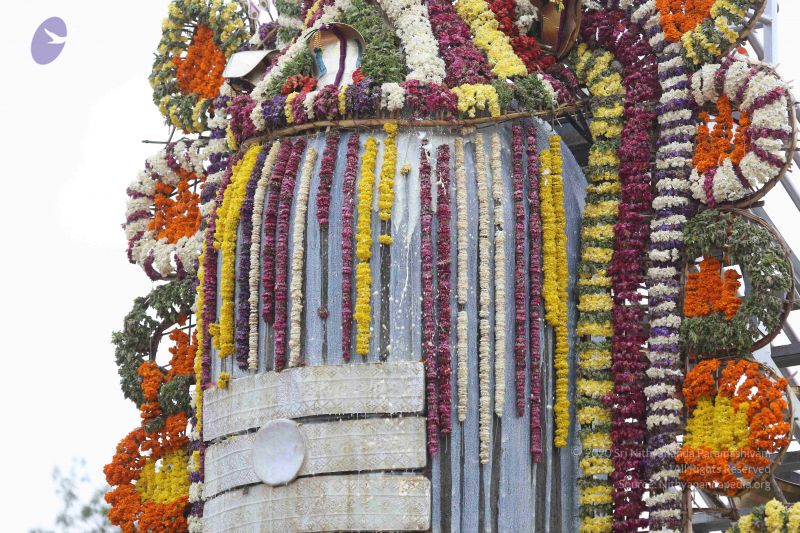 File:20161214 Photo 1056 1uk4qDcJz0to40PWySfOtNCTzuNCEa-cq.JPG