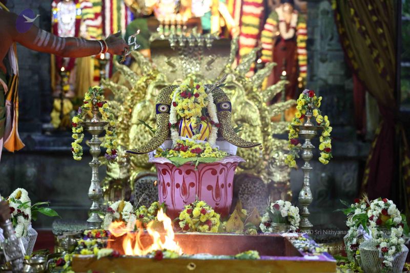 File:20161215 7935 CMP WM.jpg