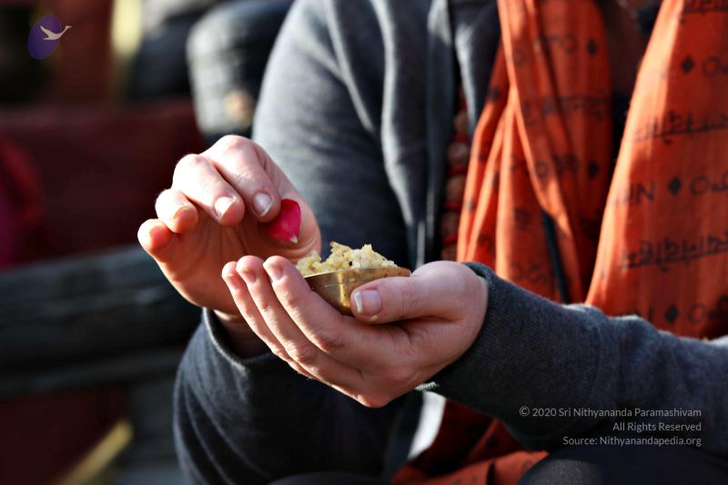 File:20161216 7767 CMP WM.jpg