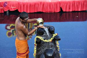 20161216 7786 CMP WM.jpg