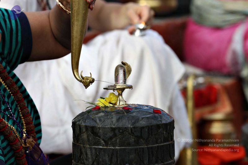 File:20161216 7807 CMP WM.jpg