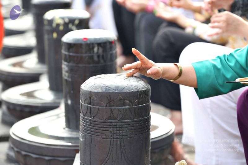 File:20161216 7814 CMP WM.jpg