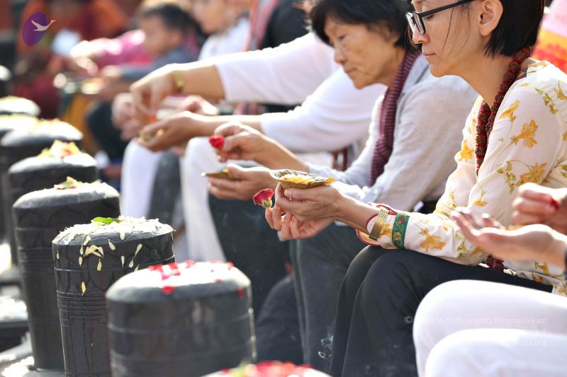 File:20161216 7825 CMP WM.jpg