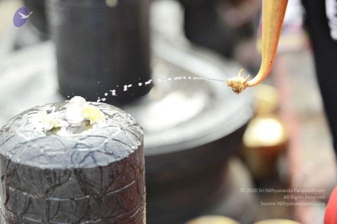 20161216 9076 CMP WM.jpg