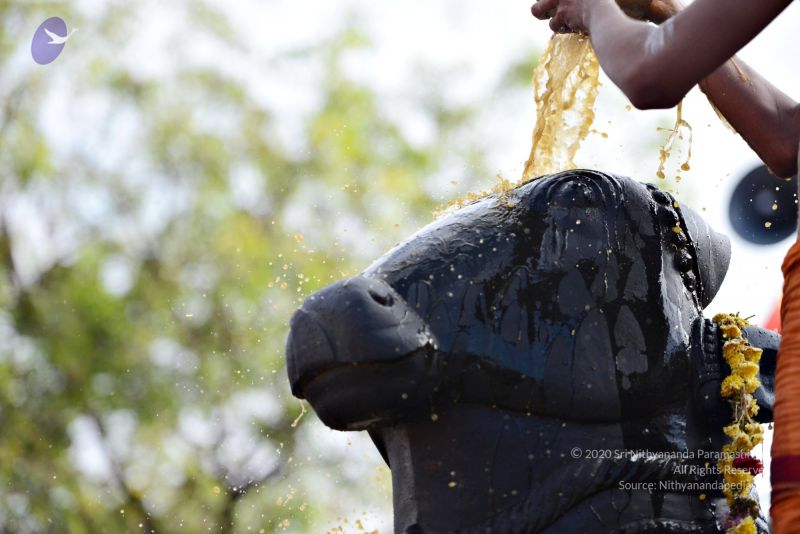 File:20161216 9082 CMP WM.jpg