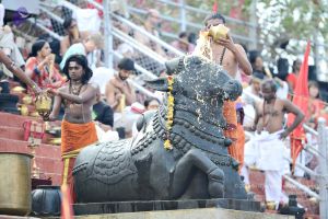 20161216 9104 CMP WM.jpg