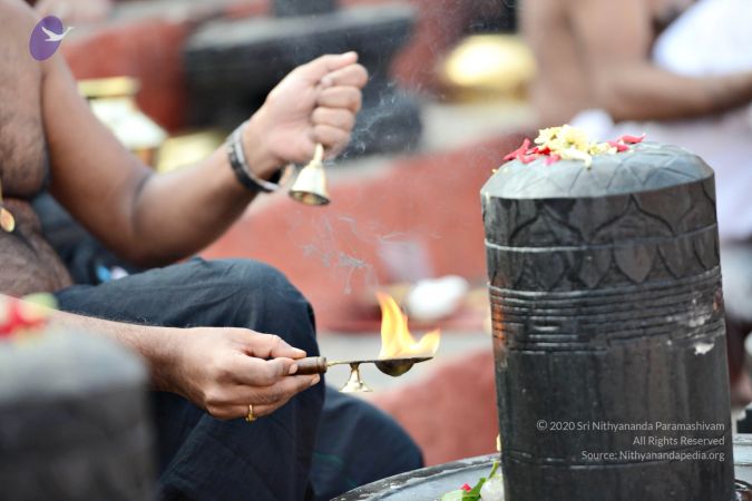 20161216 9124 CMP WM.jpg