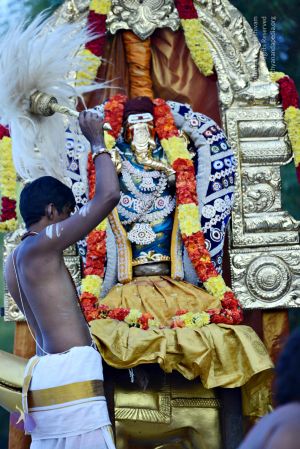 20161216 DSC 9218 CMP WM.jpg