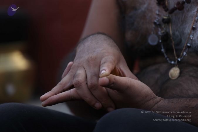 20161217 Photo 1131 1KkUb3dwM4PHlcZcXmwdhsml3pyH3kHdm.JPG