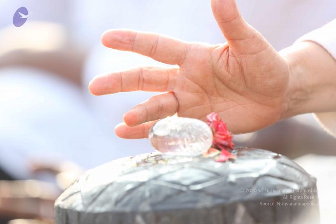 20161217 Photo 1180 1Adn5k9AmcMytPeJJYDs5G71XXK2kqgNX.JPG