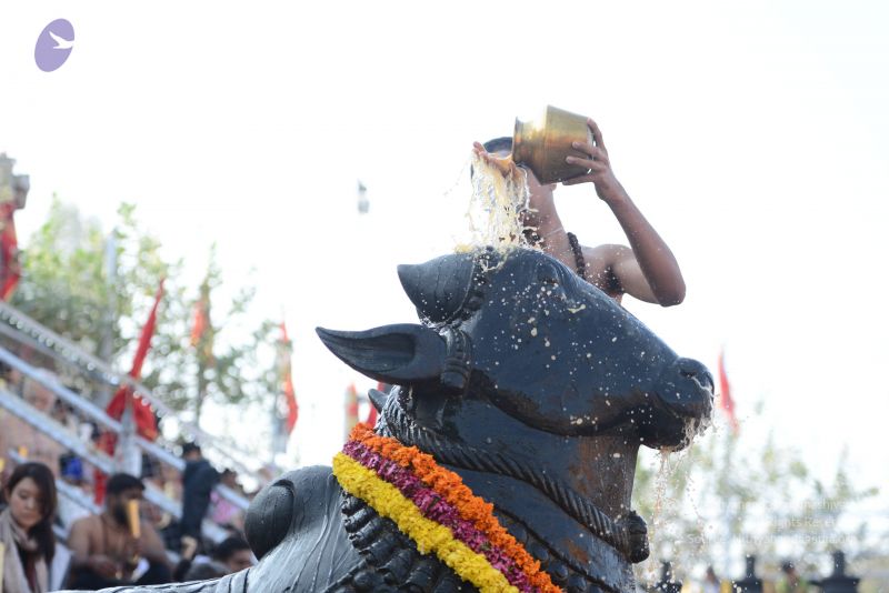 File:20161218 Photo 1001 1t3v72pXIaAE-zcv2CSZDNeTk1sOrkh9J.JPG