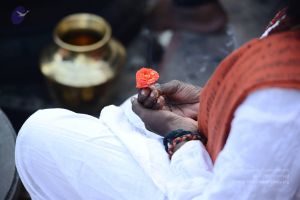 20161218 Photo 1040 1XT146ZDHWVtBu2qZ8Etb37dtqFGFGaq5.JPG