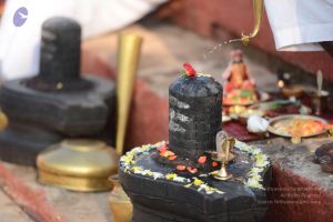 20161218 Photo 1073 1XaHrsROQhc589d29XCGiXHm8JTxiTl2z.JPG