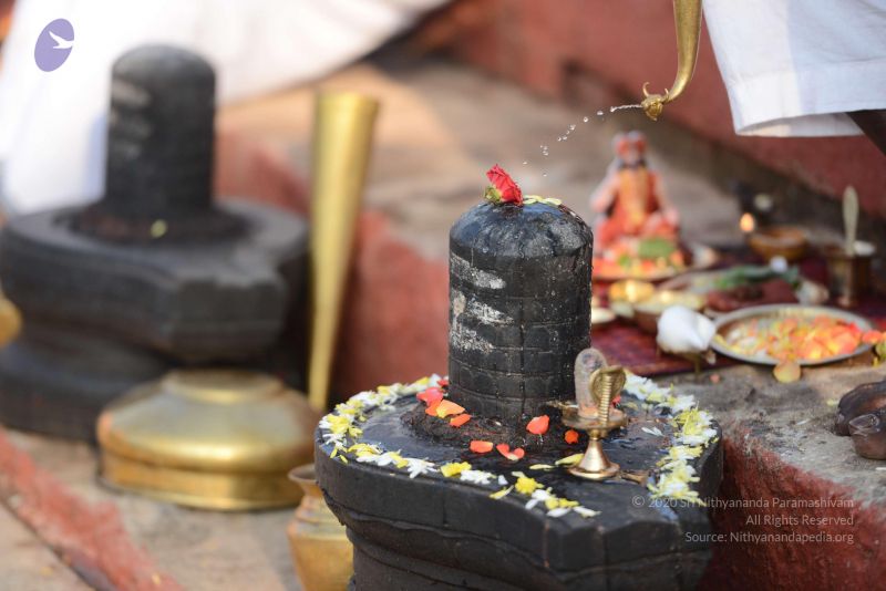 File:20161218 Photo 1073 1XaHrsROQhc589d29XCGiXHm8JTxiTl2z.JPG