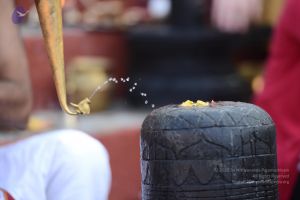 20161218 Photo 1077 1kKg8TfFsiXQlH- gI1xvMIL3d5-zWjBl.JPG