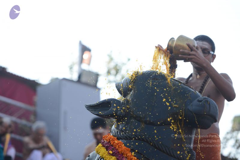 File:20161218 Photo 1079 1fhWaHLMGp8pEv-ywjr2WdbOXeGA8Q1MT.JPG