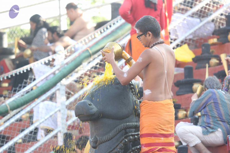 File:20161218 Photo 1119 1RU6hZf1Lvg2fWlS6RTyD7Adzi1 Aupvz.JPG