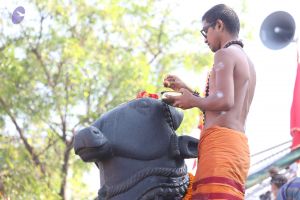 20161218 Photo 1135 1bc66-9XGMDfnb HxvPoq227eH1ivmFYM.JPG