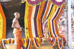 20161218 Photo 1236 1CfI7gQ2mHgeIuEWe37l8pm5eQxLI8b9t.JPG