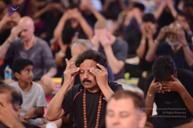 File:20161218 Photo 1546 1 yVpRfWbLfi1drMhSd4nC7aOh0mCrnnJ.JPG