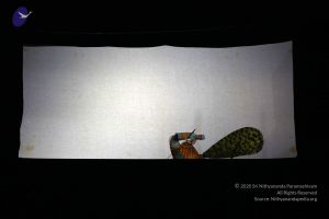 20161218 Photo 2091 10bCv8UJrqGE4uu-JliVWbIFjCgms mi6.JPG