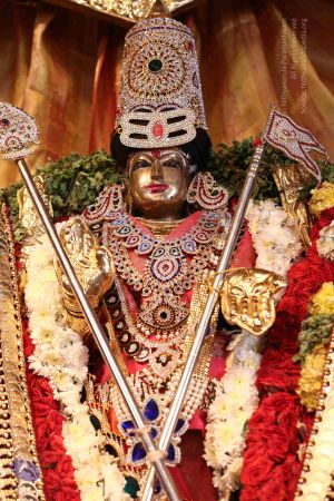 20161218 Photo 2510 1ZSaz6vw2XXvRDJYyjjsD8AkpBCvgmYX8.JPG