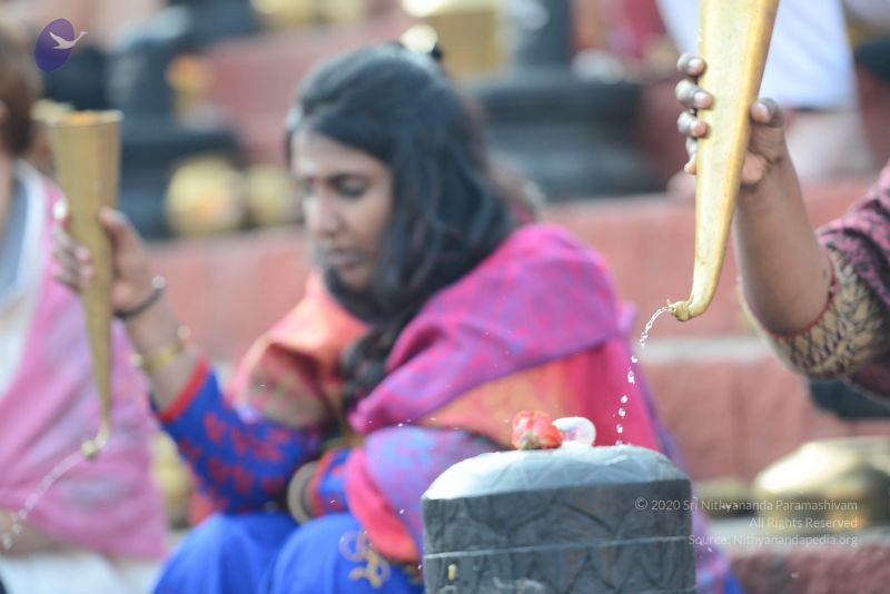 File:20161219 Photo 1044 1ffoU1TBiSatQvQywlmlT91Ic7YP06uqu.JPG