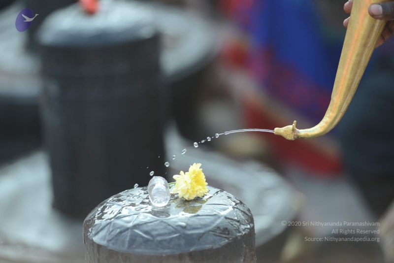 File:20161219 Photo 1046 1DbbbDqJld4ldyomtdPmIUXN6Mk6D3hGp.JPG