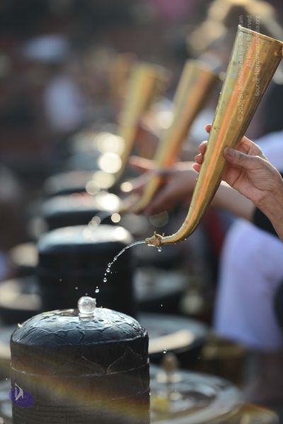 File:20161219 Photo 1052 15Qi-oPIwLjenukxrj5Guk5roLPN0o04n.JPG