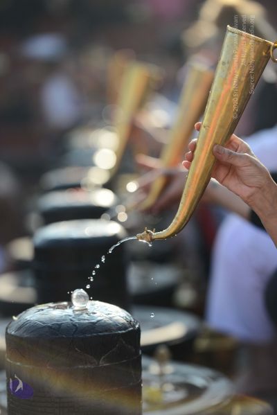 File:20161219 Photo 1053 1SuKm7l6oGOpdvonejAZVNzXmKPtixMV3.JPG