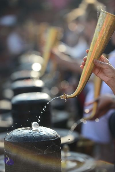 File:20161219 Photo 1054 1b63Yxe8prk-h1Ki5wTvfWJspXF5tKdv-.JPG