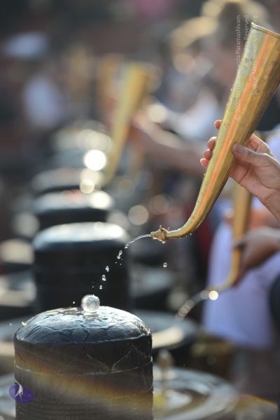 File:20161219 Photo 1055 1GyYPBOkRMwzamLp7RHB0shy7-632RVdf.JPG