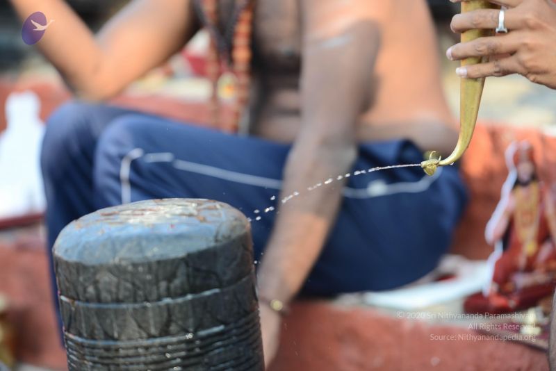 File:20161219 Photo 1057 1EgJtIQiiN5vdr8jFqA8umNwWPEYQTRu7.JPG