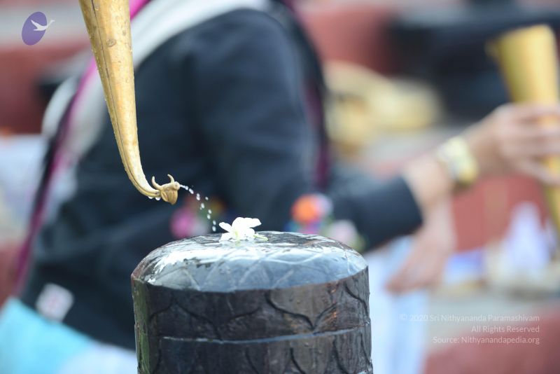 File:20161219 Photo 1060 1hetHpunZlQJroe384ADlu0bWxJIz3sBo.JPG