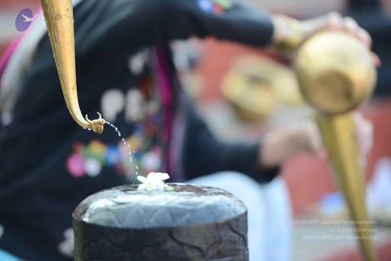 File:20161219 Photo 1063 1b5HJz433ymV13QMLeoLaCr hIhYv0a8Z.JPG