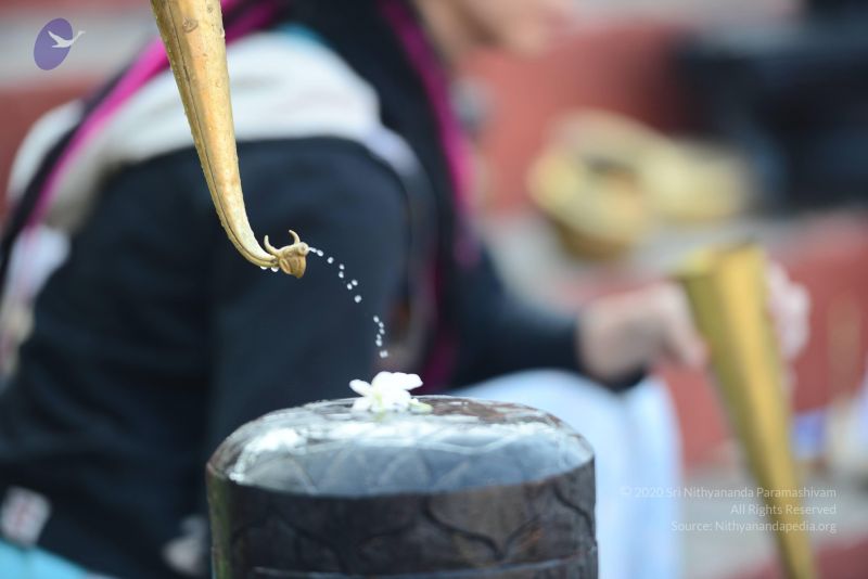 File:20161219 Photo 1065 1d7cm3coN6MR81KIL7k8FMGPyuH18hNAT.JPG