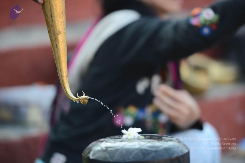 File:20161219 Photo 1066 11a6jeZoTIGDZrcXHKVjolSjy-cdduQP0.JPG