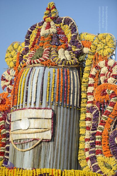 File:20161219 Photo 1074 15K1WIl4XPkRWDNb0y9F95Scrx2W7n 6N.JPG