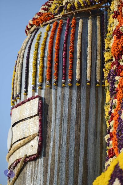 File:20161219 Photo 1080 1AE2dbS3gJjxGKA9LTj0xot9niSlxa2y4.JPG