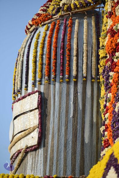 File:20161219 Photo 1083 1NSKtrQYM5VjSTEn-YMTuNv08x0IG44LC.JPG