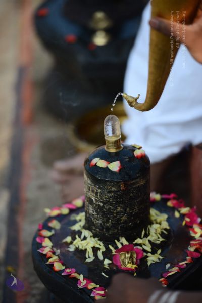 File:20161219 Photo 1085 1khuZcpsV63 LcAEDotATbxjAhE32Amrv.JPG