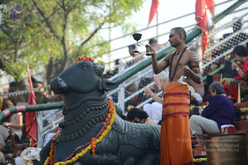 File:20161219 Photo 1096 1DPMScYujyFC wINXmq86lcstzTj-ASBo.JPG