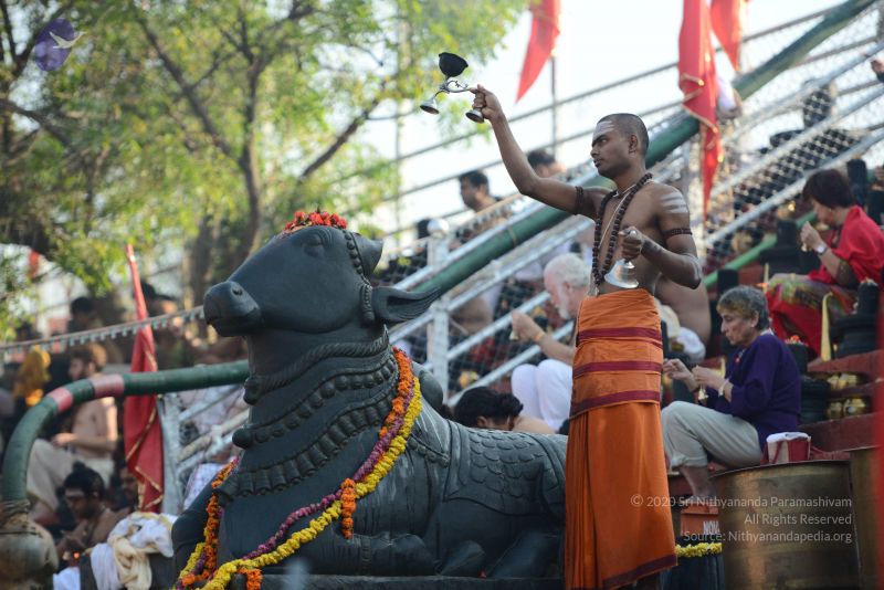 File:20161219 Photo 1098 18gJEj4or6uLjhiXQTmY4QKti9sWEuPwg.JPG