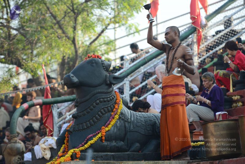 File:20161219 Photo 1099 12RjQ71g4gg2LWmPiHjEw54VFN0cPTTxM.JPG