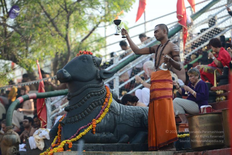 File:20161219 Photo 1100 1-qtbO0NvIV99yMIUv7yo8onxuuXoWfkr.JPG